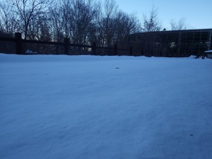 20160124雪
