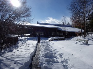 20160119雪 (6)
