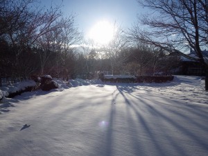 20160119雪 (4)