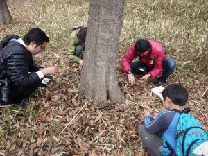 20160319 - オオムラサキの越冬幼虫調査 (5)